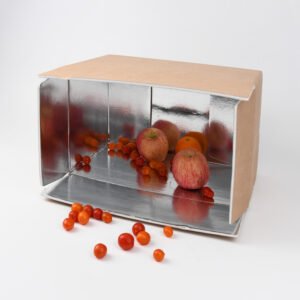 Express Safe Box
